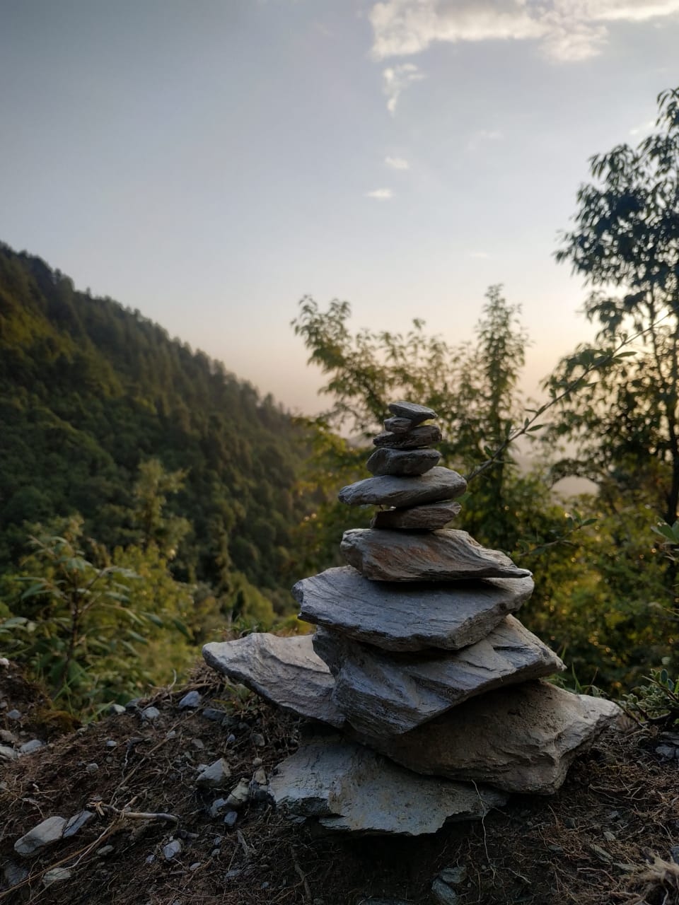 Йога-ретрит в Гималаи (Индия, Ришикеш и Дхарамсала) фото